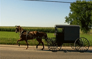 Amish for All My Friends