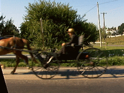 Head 'em up, move 'em out