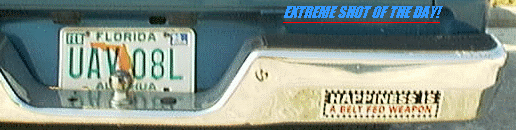 Happiness Is a Belt-Fed Weapon