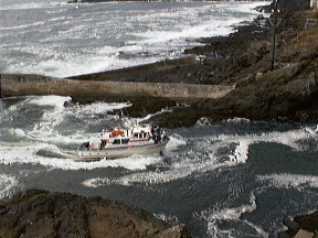 Tech Writers don't get to do this cool stuff.