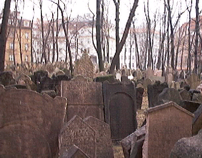 At the Jewish Cemetery.