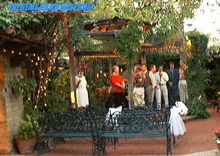 Extreme Wedding Gestures