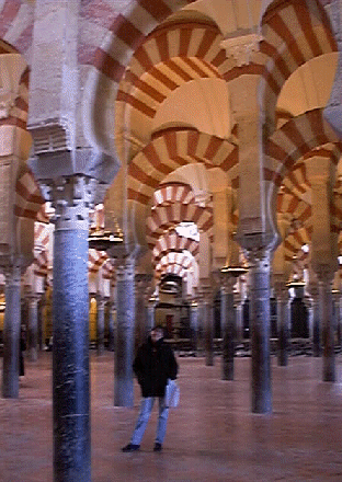 'Mezquita' means 'mosque'....not 'mesquite tree.'
