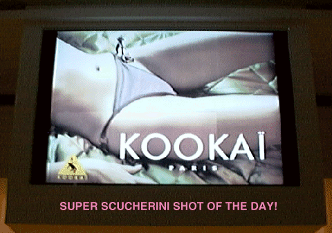 Mr. Scucherini is not of the Kookai