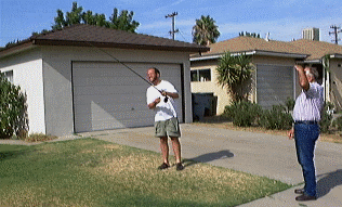 What're They Biting On?