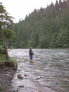 A Dork Sits In The Middle Of It