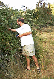 You're never too old for berries and nuts.