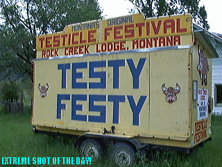 test.gif