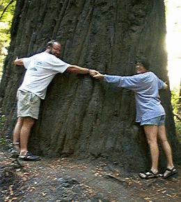 Beautiful Piece of Burl