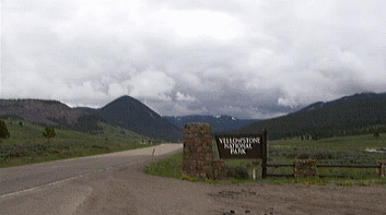 Welcome to Yellowstone!